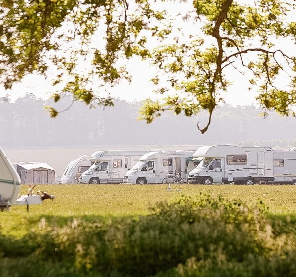 Pop up Campsite in Holkham Park with Caravan and Motorhome Club