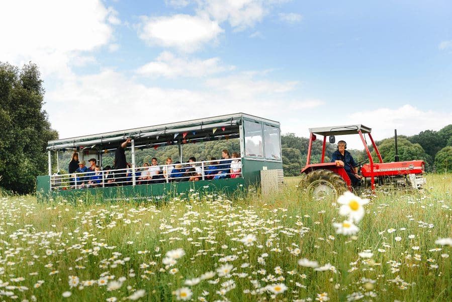 The Grand Tour- Tractor Trailer Tour, Holkham Park | Let us welcome you aboard our tractor-trailer for a whistle-stop tour of the park.  | tour, holkham, park, beach, guide, history, heritage, tractor, farm, farmland, deer, wildlife