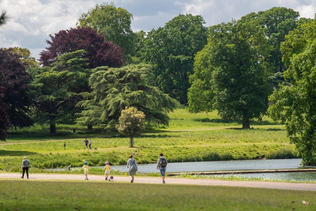 Holkham Park Holkham