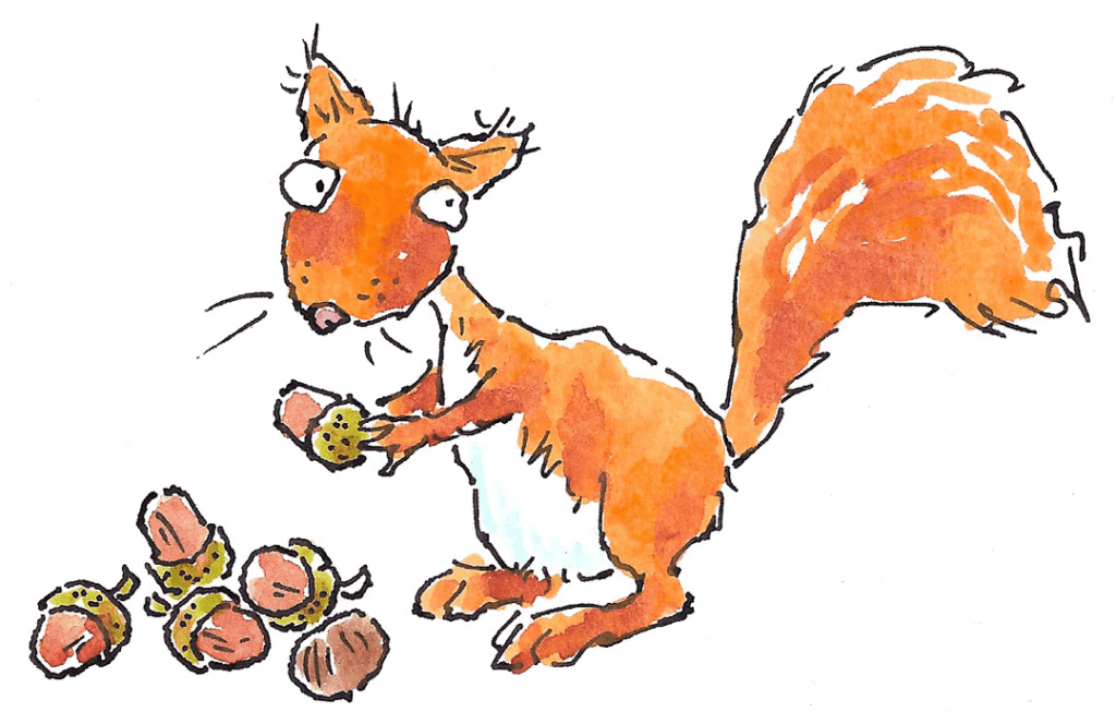 An illustration of an orange squirrel with a pile of acorns