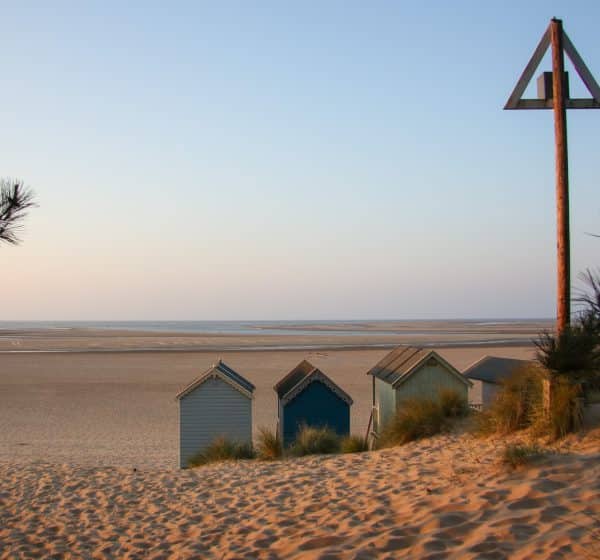 The backs of four beach huts on Wells Beach in Norfolk looking out to sea, taken from the dunes in the pine woods.