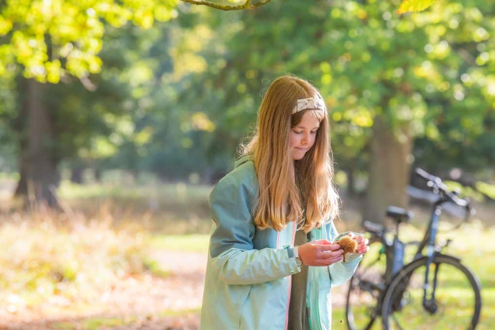 A girl looks at a conker in Holkham Park. Her bike is behind her.