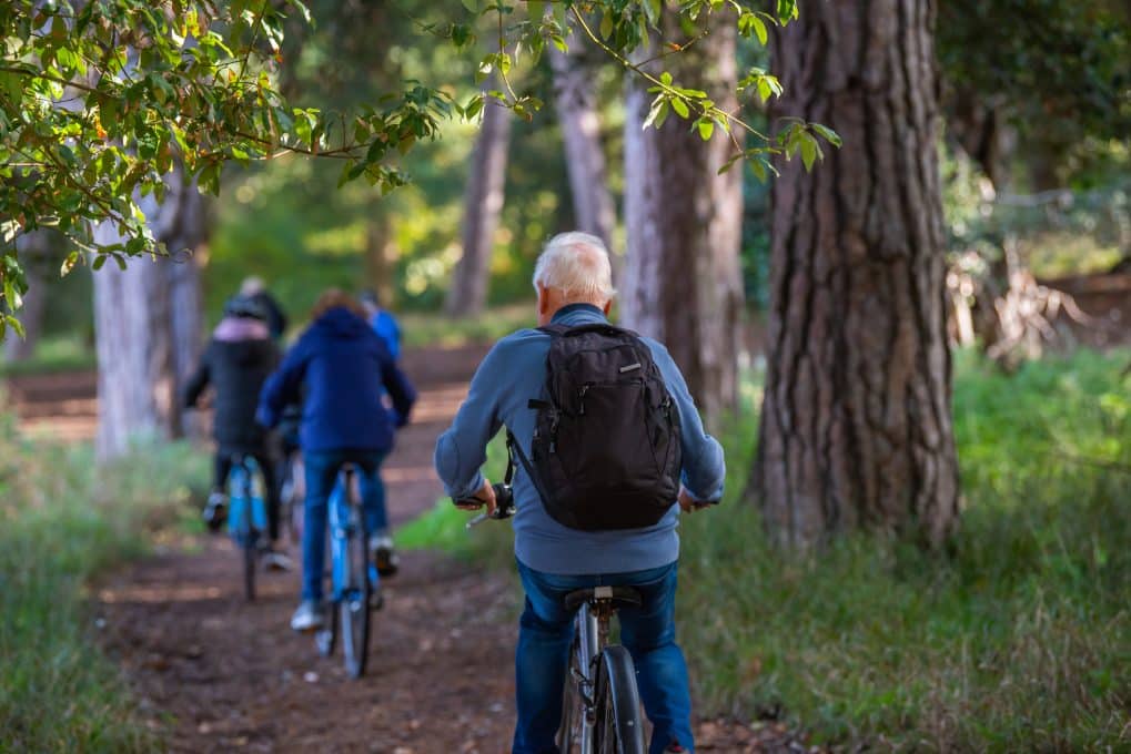 Adults cycle away form the camera under the trees in Holkham Park