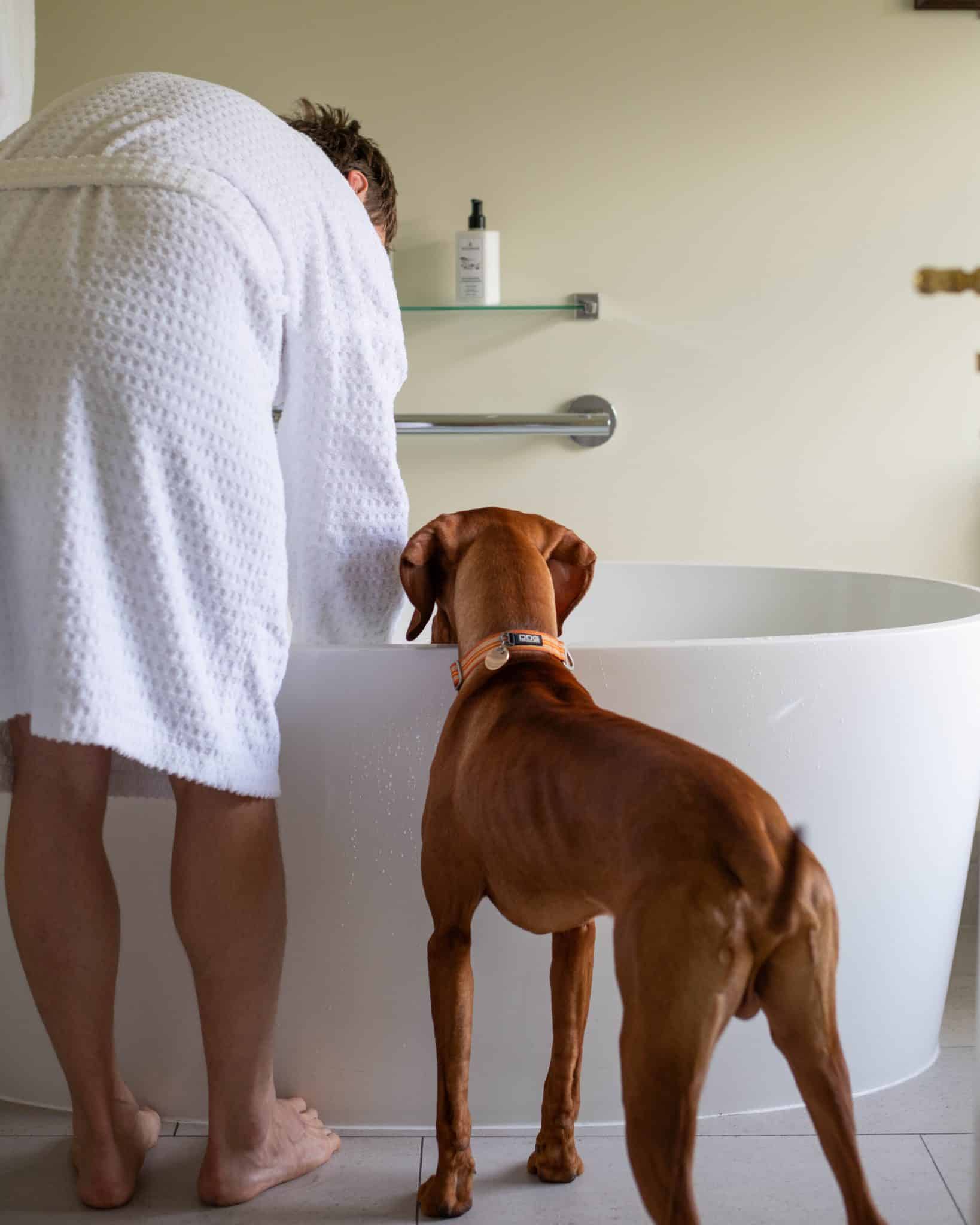 A man in a white bath robe tests the water temperature with his hand. A dog stands beside him