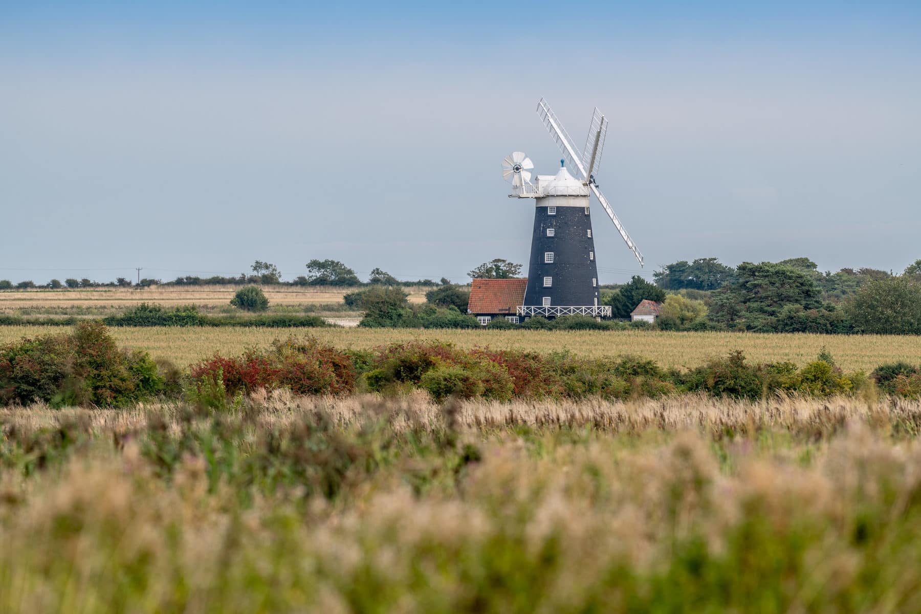 North norfolk Walk from The Victoria at Holkham