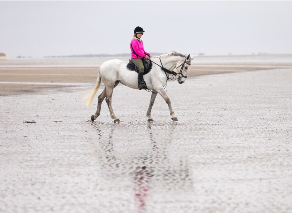 horse riding on Holkham Beach North Norfolk