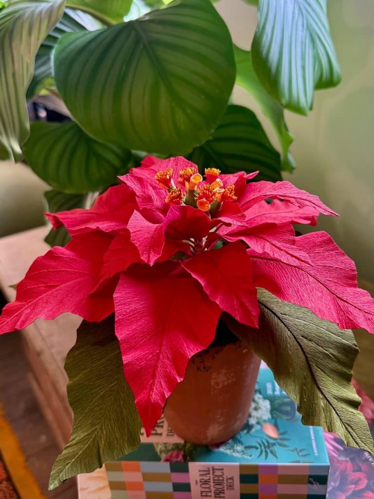 A handmade poinsettia made from paper